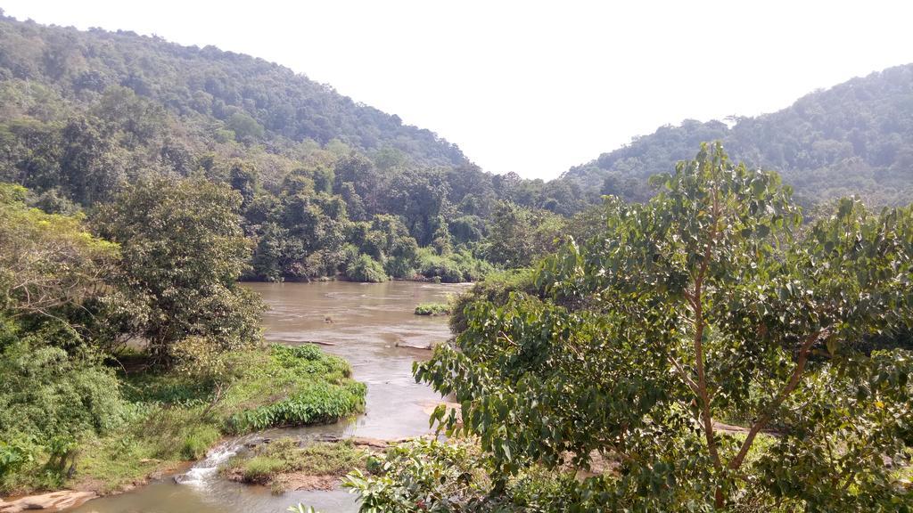 Willow Heights Athirappilly Luaran gambar