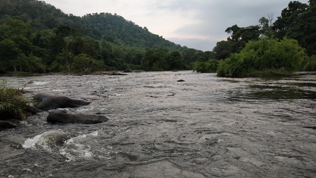 Willow Heights Athirappilly Luaran gambar